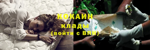 хмурый Каменногорск