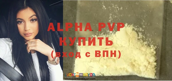 хмурый Каменногорск
