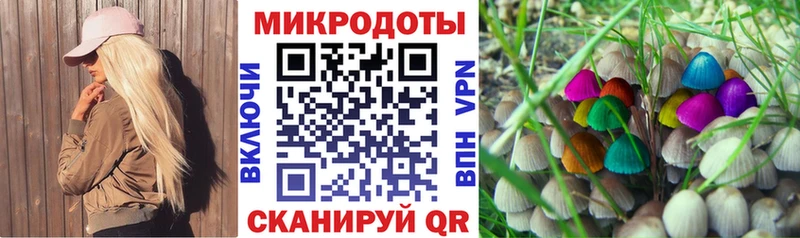 Купить где Городец Псилоцибиновые грибы MAGIC MUSHROOMS